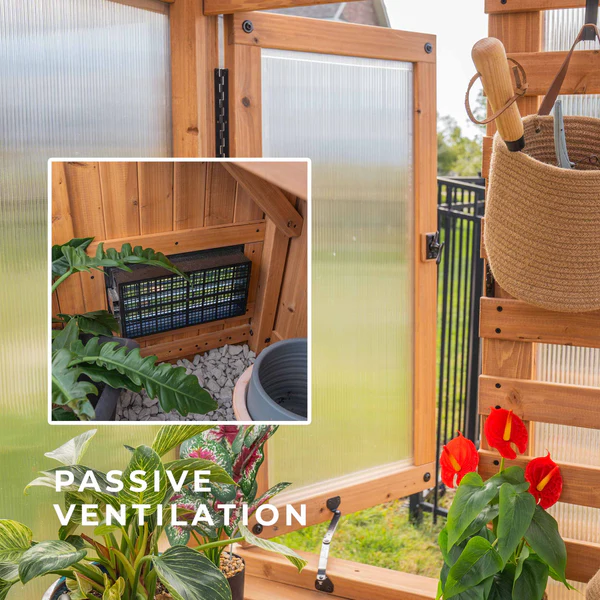 9×6 Willow Greenhouse - Image 8