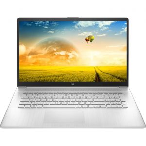HP 17.3 Flagship HD Business Laptop