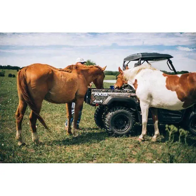 Axis 500 4×4 UTV Camo - Image 5